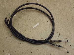 Z[225/ SEROW225 ANZC[ 1KH-0160