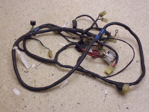 CufBI/ Live Dio50(12V) Cn[lX AF34-1311