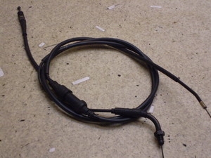 CufBI/ Live Dio50(12V) ANZC[ AF34-1311