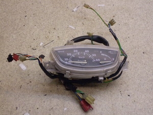 CufBI/ Live Dio50(12V) [^[ AF34-1311