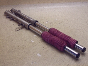 Z[225('90)/ SEROW225 tgtH[N 1KH-0579