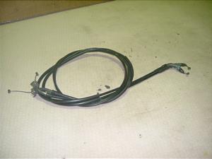 t[W 250/ FUSION  ANZC[ MF02-0321