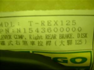 T-REX125/ PGO  u[Lo[E 0617