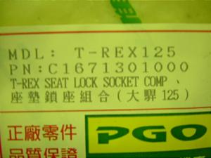 T-REX125/ PGO  V[gbN\Pbg 0617