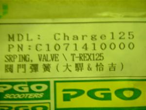 T-REX125/ PGO  ouXvO 0617