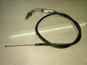 S50/ GORILLA    ANZC[ Z50A-0180
