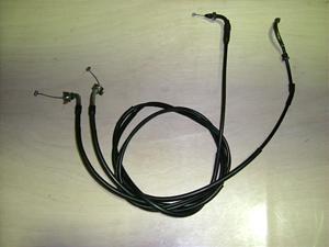 t[W 250/ FUSION  ANZC[ MF02-1400