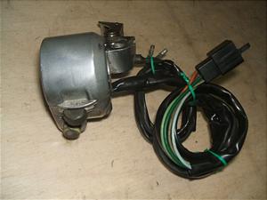 XJbV50/ SQUASH  nhXCb` AB11-1036