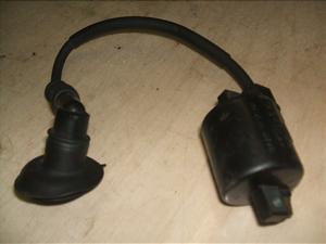 XJbV50/ SQUASH  COjbVvOR[h AB11-1036