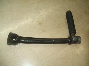 XJbV50/ SQUASH  LbNy_ AB11-1019