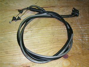 r[m50/ Vino  ANZC[ 5AU-0353
