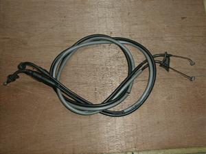 r[m50/ Vino  ANZC[ SA10J-0054