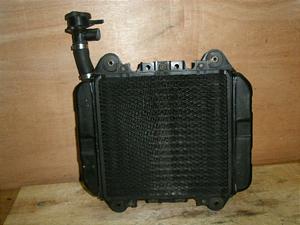ZZR250/ ZZ-R250  WG^[ EX250H-0356