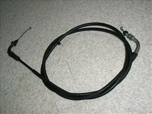 X}[gfBI/ Smart Dio ANZC[ AF56-1113