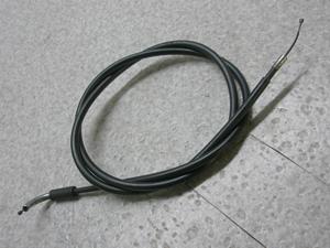 `Cm/ choinori  ANZC[ CZ41A-1501