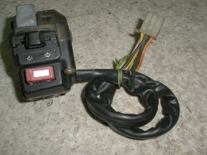 Z[225/ SEROW225 nhXCb` 4JG-1593