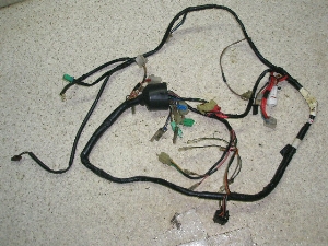 r[m50/ Vino  Cn[lX 5AU-1373