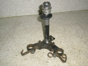 BIALS50/ TL50 oCAX Xe TL50-1001