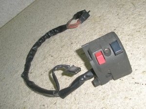 ZZR250/ ZZ-R250  nhXCb` EX250H-0534