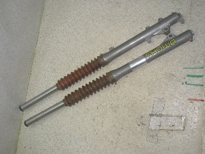 Z[225/ SEROW225 tgtH[NE 1KH-0009