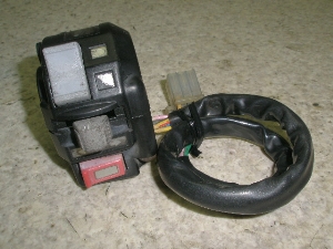 Z[225/ SEROW225 nhXCb` 1KH-0009