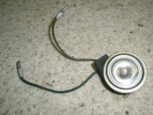 `v50/ CHAMP  ECJ[uU[ 54V-6392