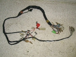 R_50/ COLLEDA  Cn[lX K50-4024