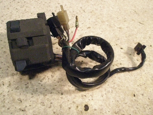 ZZR250/ ZZ-R250  nhXCb` EX250H-0131