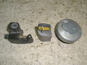 CD50 L[Zbg CD50-2576