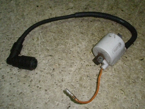 |bvM50/ POPGAL  COjbVvOR[hRC 17J-1310
