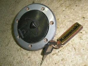 ZZR250/ ZZ-R250  K\^NLbv EX250H-0346