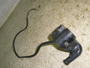 Z[225/ SEROW225 nhXCb`E 1KH-0206