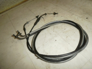 r[m50/ Vino  ANZC[ 5AU-1455