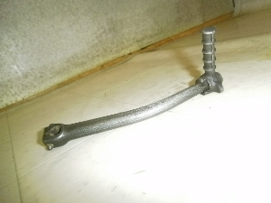 `Cm/ choinori  LbNy_ CZ41A-1354