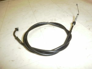 `Cm/ choinori  ANZC[ CZ41A-1354