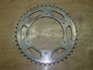 z[lbg250/ HORNET huXvPbg MC31-1001