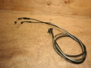 r[m50/ Vino  ANZC[ 5AU-0593