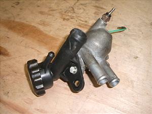 XeB[h400/ STEED  T[X^bg NC26-1308