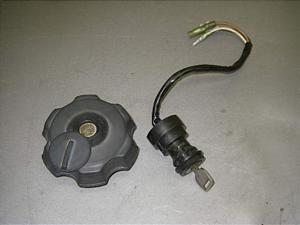 KDX250 L[Zbg DX250F-0022