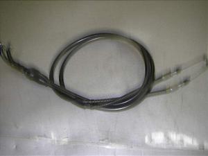 Z[225/ SEROW225 ANZC[2{ 1KH-0022