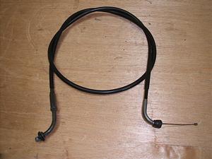 `Cm/ choinori  ANZC[ CZ41A-1207