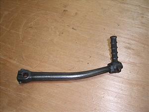 `Cm/ choinori  LbNy_ CZ41A-1207