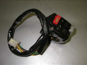 Z[225/ SEROW225 nhXCb` 4JG-1343