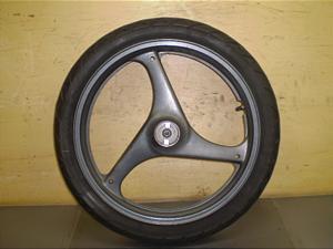 Et50/ WOLF50 tgzC[^C NA11A-1855