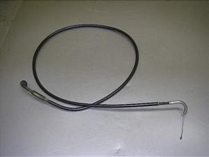 `Cm/ choinori  ANZC[ CZ41A-1236