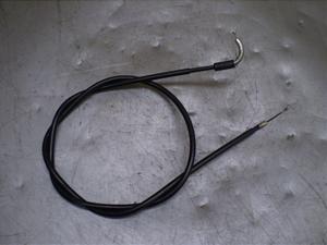 `Cm/ choinori  `[NC[ CZ41A-1555