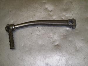 `Cm/ choinori  LbNy_ CZ41A-1555