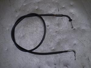 `Cm/ choinori  ANZC[ CZ41A-1555
