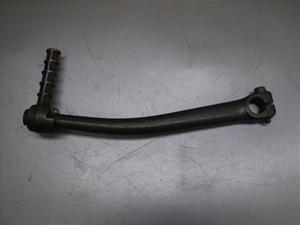 `Cm/ choinori  LbNy_ CZ41A-1497