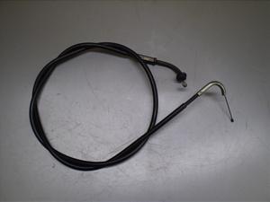 `Cm/ choinori  ANZC[ CZ41A-1497